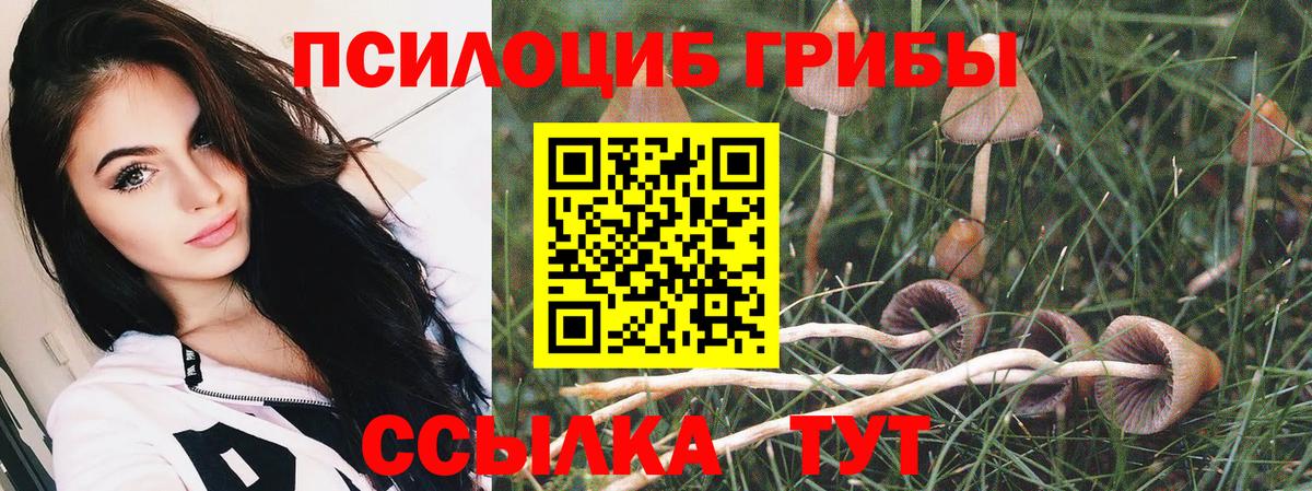 Галлюциногенные грибы мухоморы  Вход с VPN  Чебоксары  Псилоцибиновые грибы Cubensis 